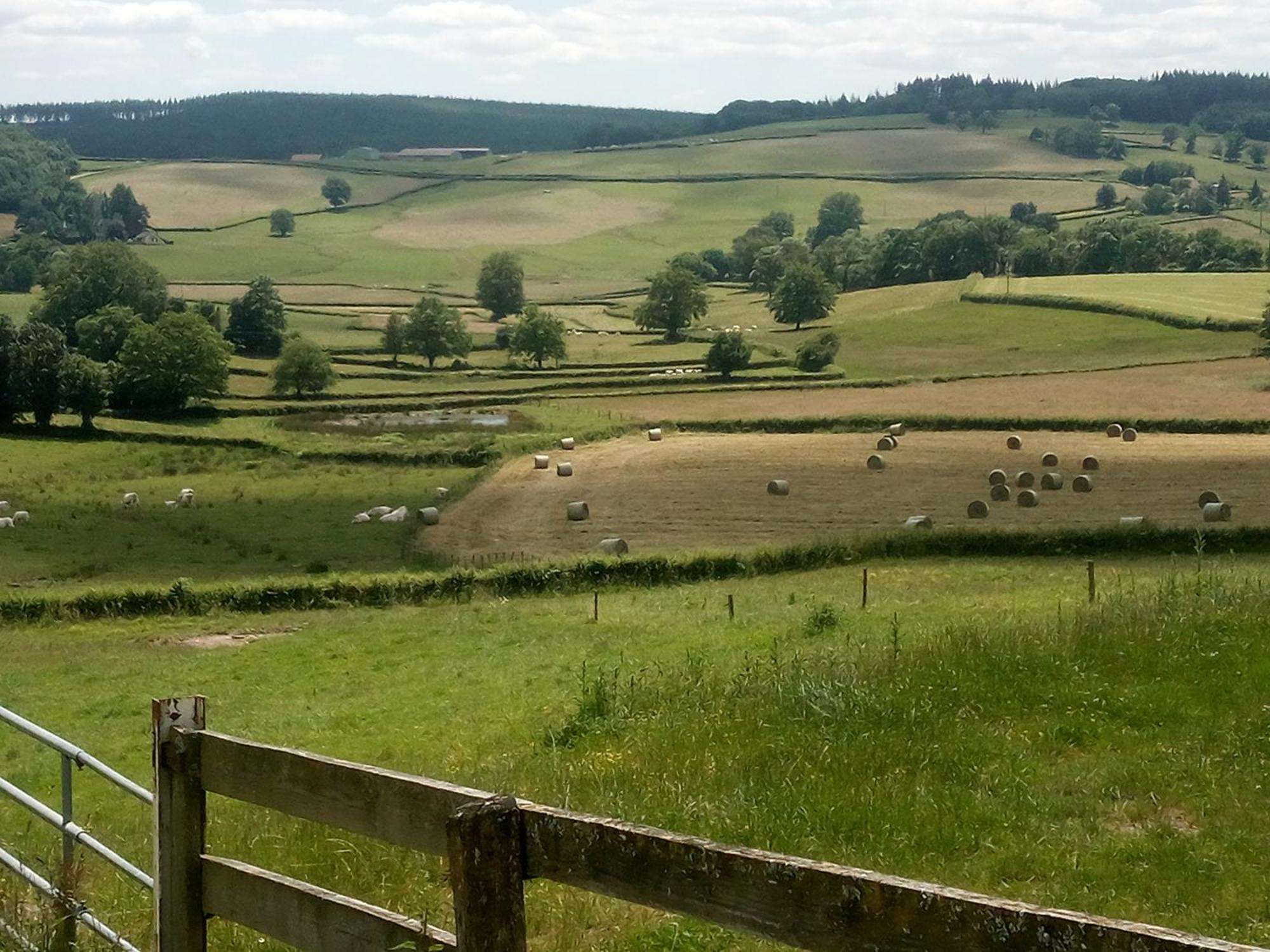 Gite A La Ferme Le Rousset Buitenkant foto